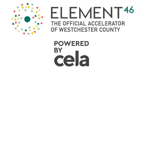 Westchester's Element 46 Tech Accelerator Demo Day featured image.