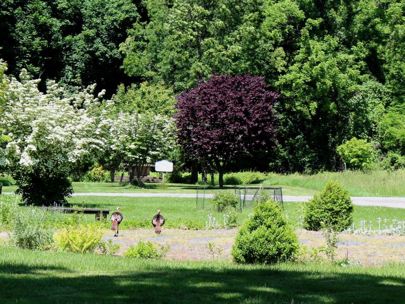Escape to This Picturesque Setting for Your Next Retreat featured image.